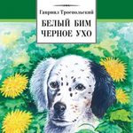 «Светлый след Бима»